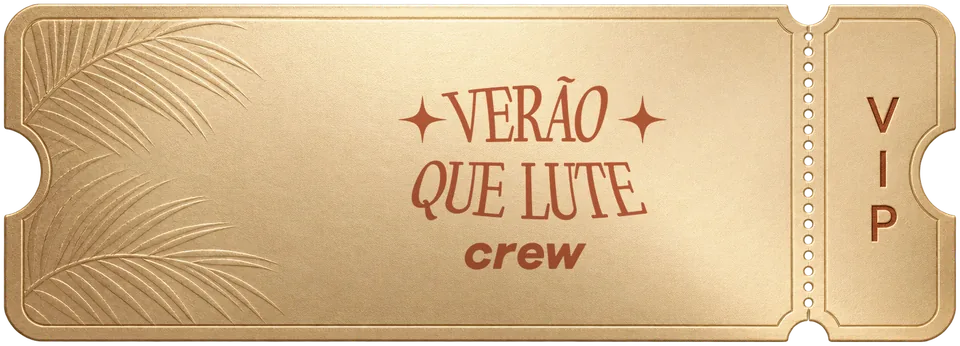 Ingresso VIP do Projeto Verão que Lute